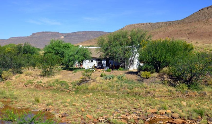 Welcome to Lazy Leopard House in Clanwilliam, Western Cape, South Africa