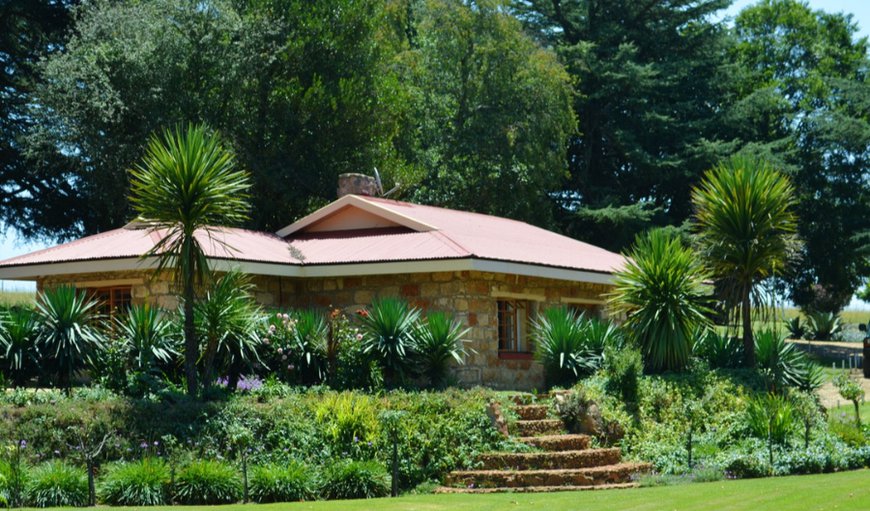 Welcome to Hamperdown Cottage in Chrissiesmeer, Mpumalanga, South Africa