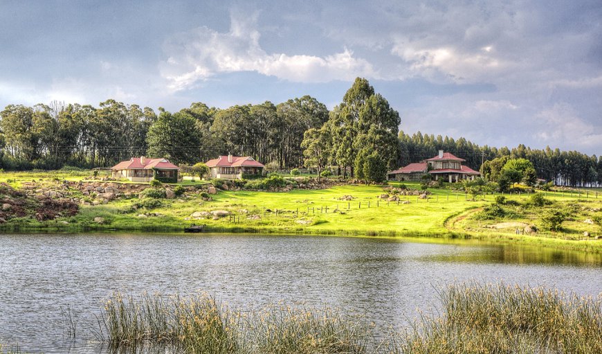Welcome to Springgrove Cottages in Chrissiesmeer, Mpumalanga, South Africa