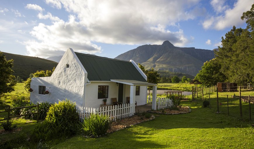 Welcome to the beautiful Rose Cottage in Swellendam, Western Cape, South Africa