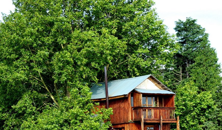 Faraway Treehouse: Our Faraway Treehouse