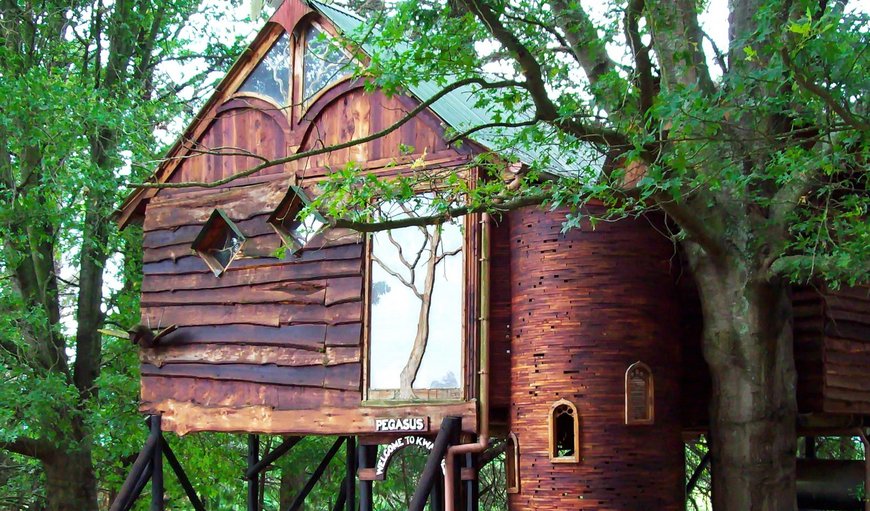 Pegasus Treehouse: Our Pegasus Treehouse