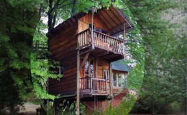 Sycamore Avenue Treehouses image