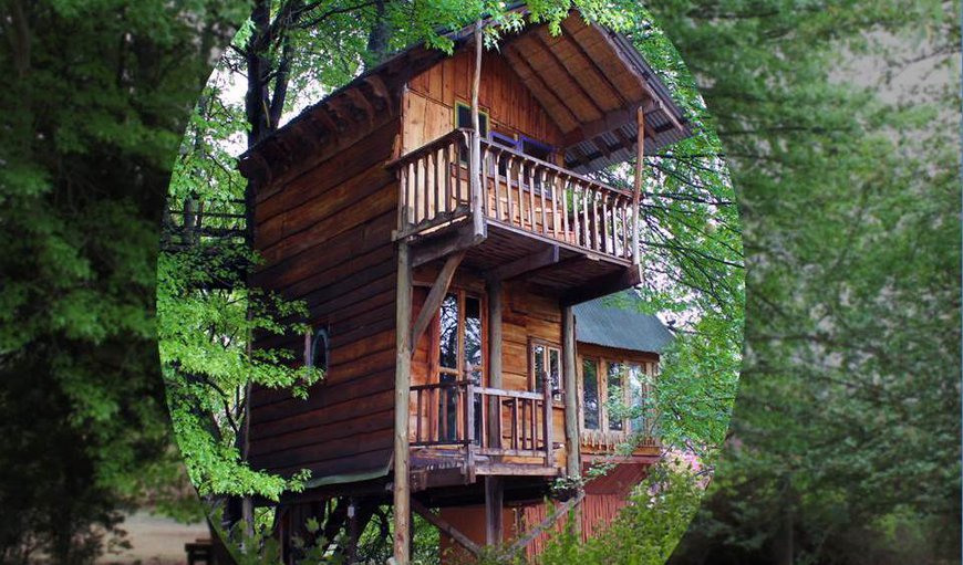Romantic Treehouse: Our Romantic Treehouse