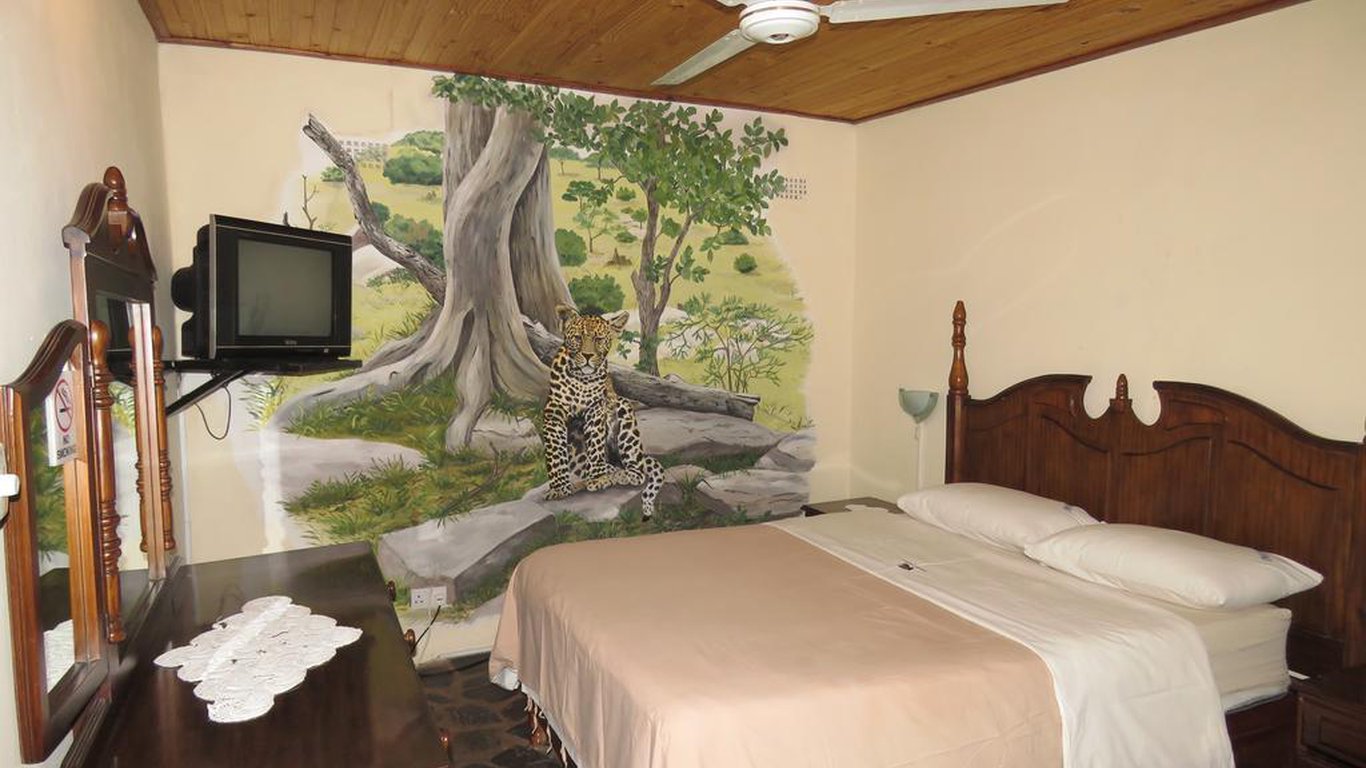 Parrot Lodge In Bulawayo City Best, Bunk Beds Under 10000 In Bulawayo