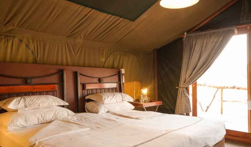 Camp Savuti beautiful tent interior in  Chobe National Park, North West District, Botswana
