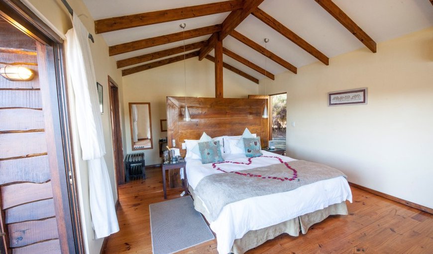Fynbos Suite: Our fynbos suites has a King-size beds