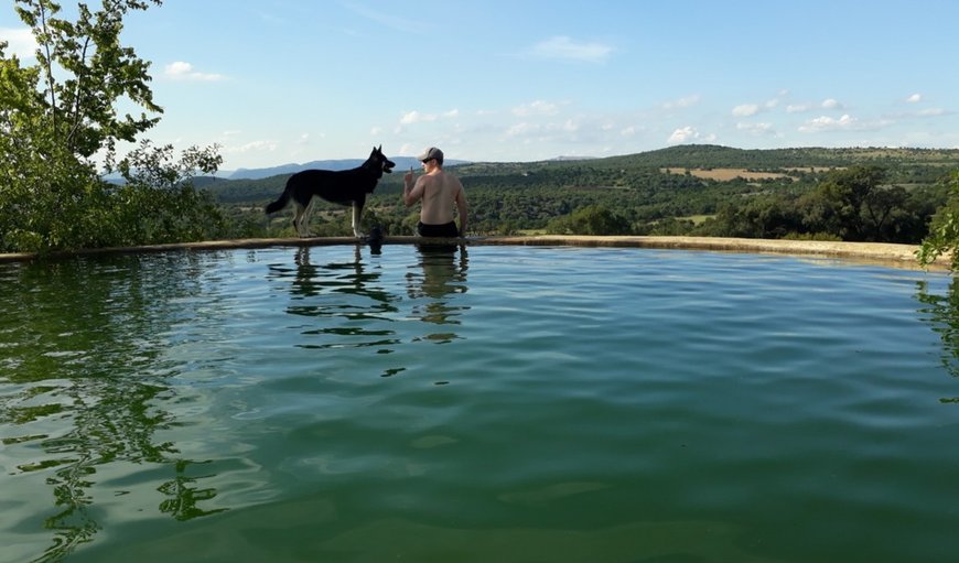 Farm dam in Magaliesburg, Gauteng, South Africa