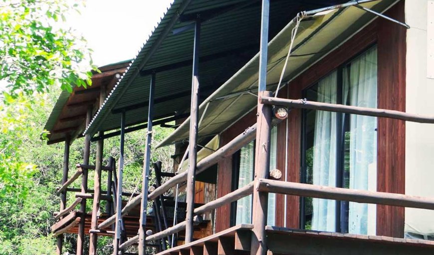 Bush Lodge: Balcony/Terrace