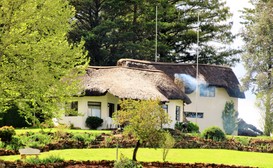Thimble Cottage image
