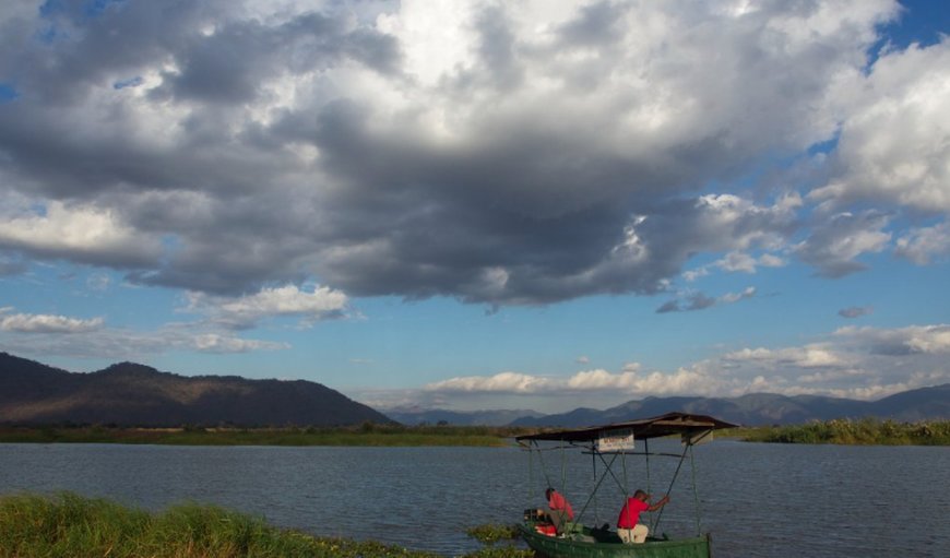 Because the Shire River travels not only the length of Liwonde National Park but through it as well, the Shire provides the quintessential African river experience. Our boat, the Glen Morengie, departs near the camp for two and a half hours round trip. Some 2,000 hippos live along the 40km stretch of the Shire River (that’s more than one every 20 meters!), so close encounters are guaranteed! Because the Shire River travels not only the length of Liwonde National Park but through it as well, the Shire provides the quintessential African river experience. Our boat, the Glen Morengie, departs near the camp for two and a half hours round trip. Some 2,000 hippos live along the 40km stretch of the Shire River (that’s more than one every 20 meters!), so close encounters are guaranteed!