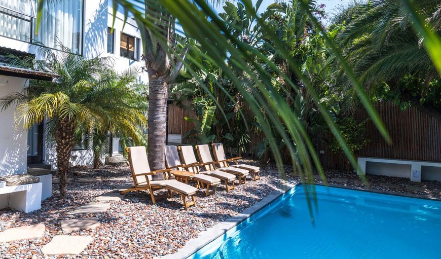 Unwind in our sun-drenched, yet well-secluded tropical bamboo and palm garden. Here you will find a large saltwater swimming pool, which is unique for its size (8x4m). Loungers, an outdoor shower and pool towels are provided for your convenience and comfortability Unwind in our sun-drenched, yet well-secluded tropical bamboo and palm garden. Here you will find a large saltwater swimming pool, which is unique for its size (8x4m). Loungers, an outdoor shower and pool towels are provided for your convenience and comfortability
