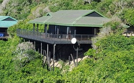 Albert's House 6 at Baleia Vista image