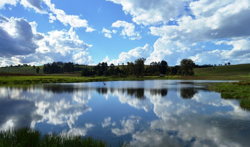 Welcome to Tortoni Guest Farm. in Maclear, Eastern Cape, South Africa