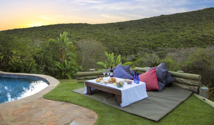 Welcome to Thunzi Bush Lodge! in Seaview, Eastern Cape, South Africa