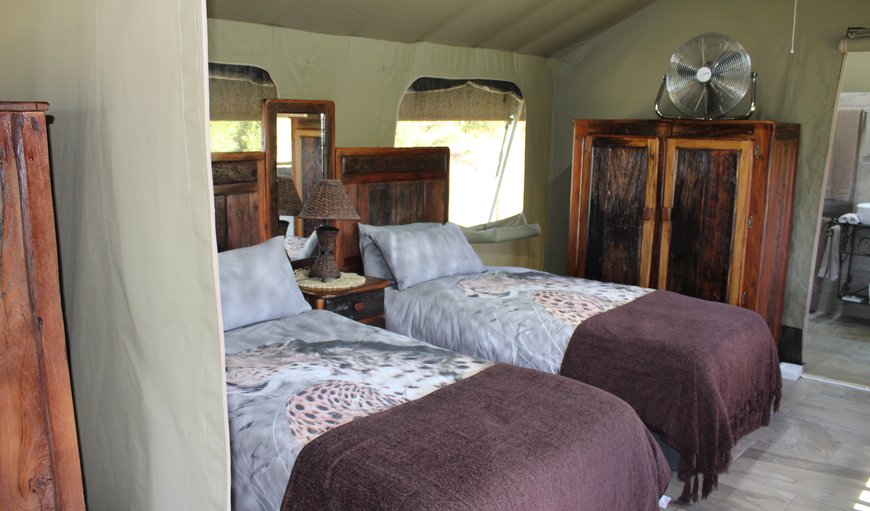 Luxury Family Tent 4 persons: Bedroom - Twin