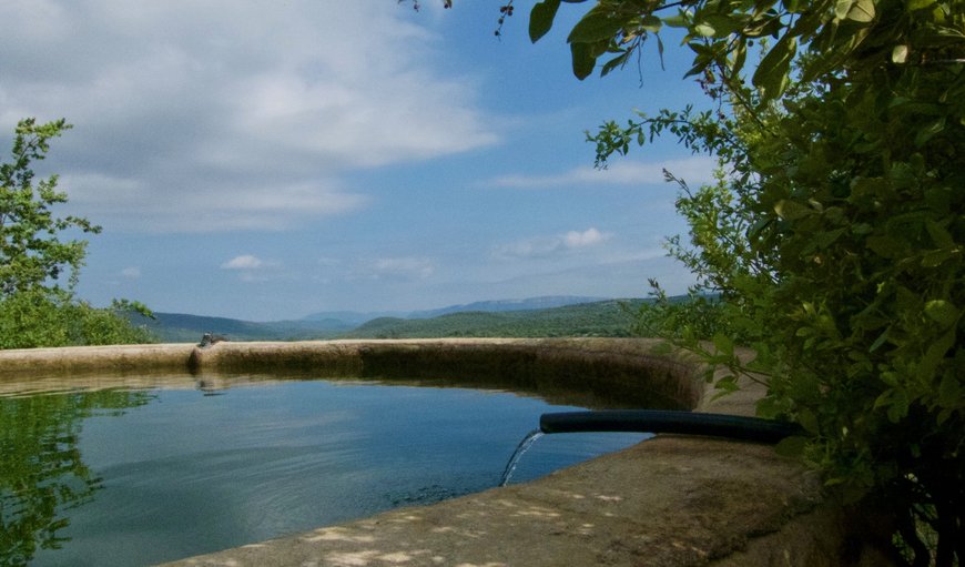 The Dam