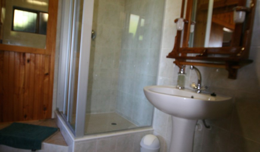 Brenton Blue Dolphin Flat: Blue Dolphin Bathroom