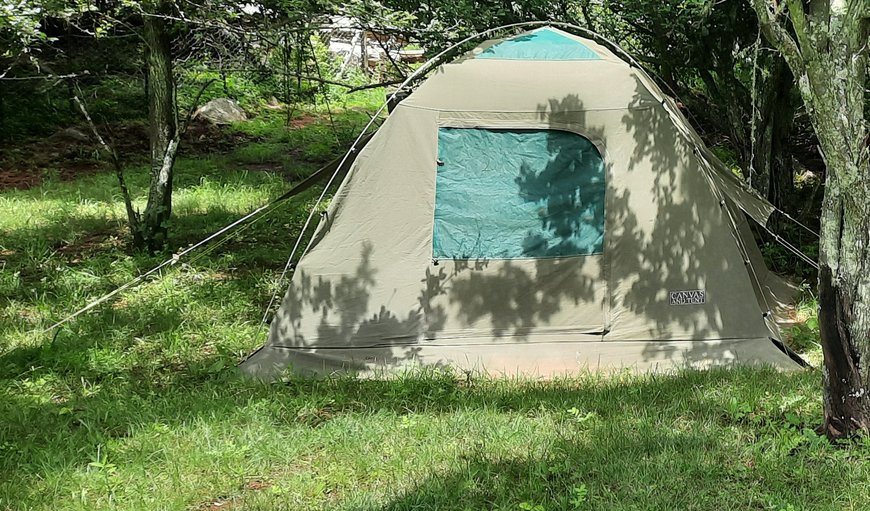 Tent 1 Earth photo 48