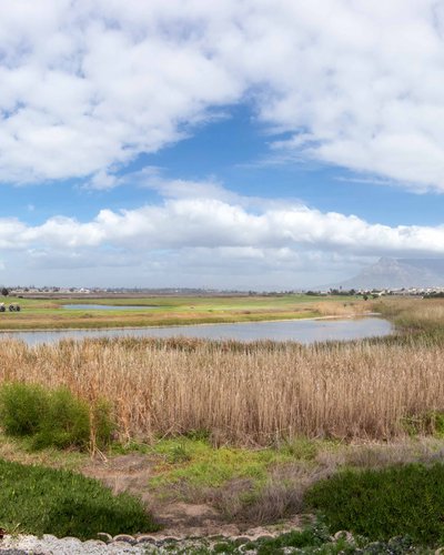 Gaia Guest House is situated on a quiet vlei, with multiple bird species and views of Table Mountain, the Tigerberg Hills and Milnerton Golf Club