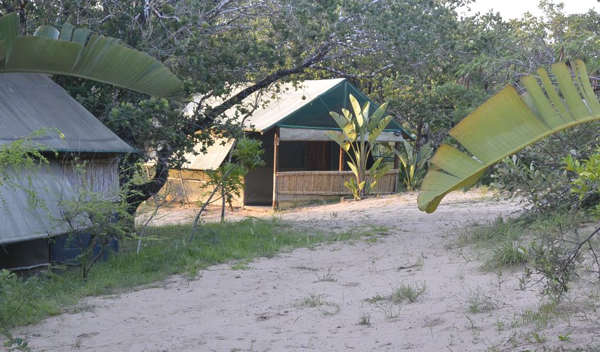 Welcome to Amangwane Camp in Kosi Mouth, Manguzi (Kosi Bay), KwaZulu-Natal, South Africa