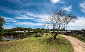 Tenikwa Nature Lodge Family Suites image