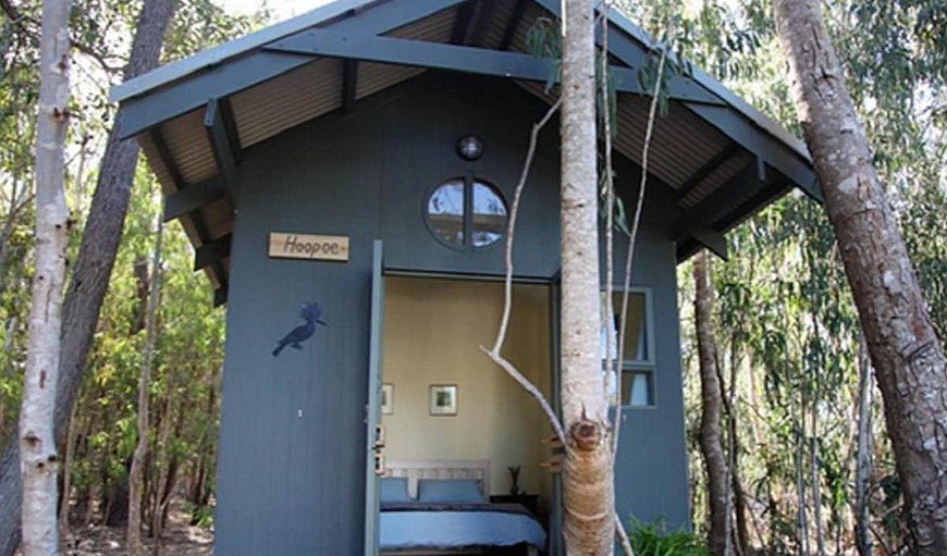 The Hoopoe: Hoopoe Cabin