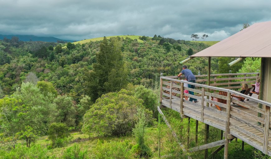 Welcome to AfriCamps at Ingwe! in The Crags, Plettenberg Bay, Western Cape, South Africa