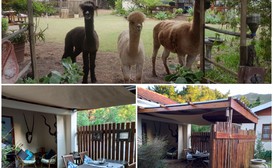 Alpaca Cottage image