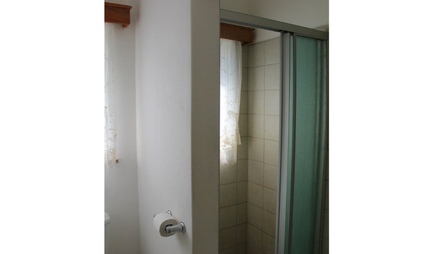 Single Room- Shared Bathroom: Shower