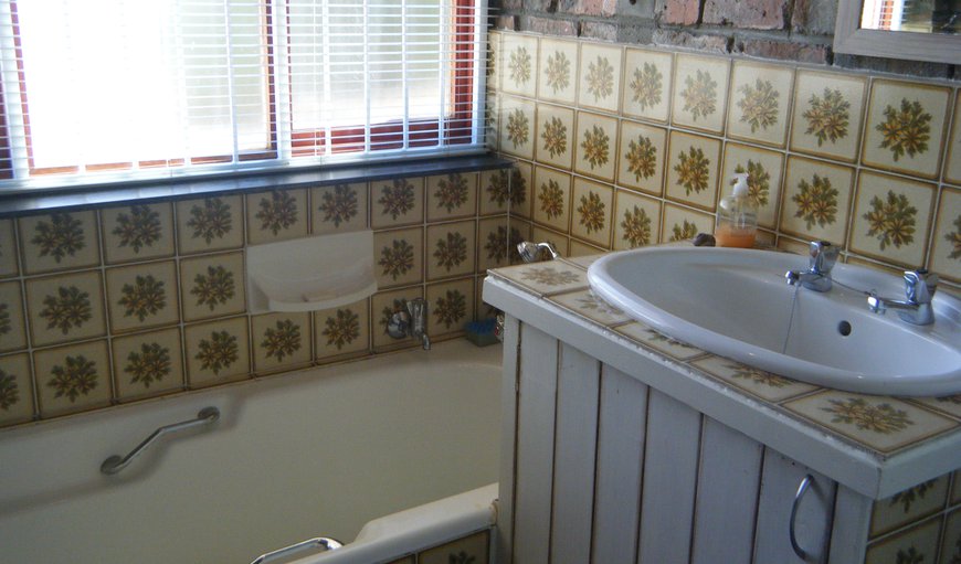 Apartment: Bathroom: Bath + handshower, basin, toilet.