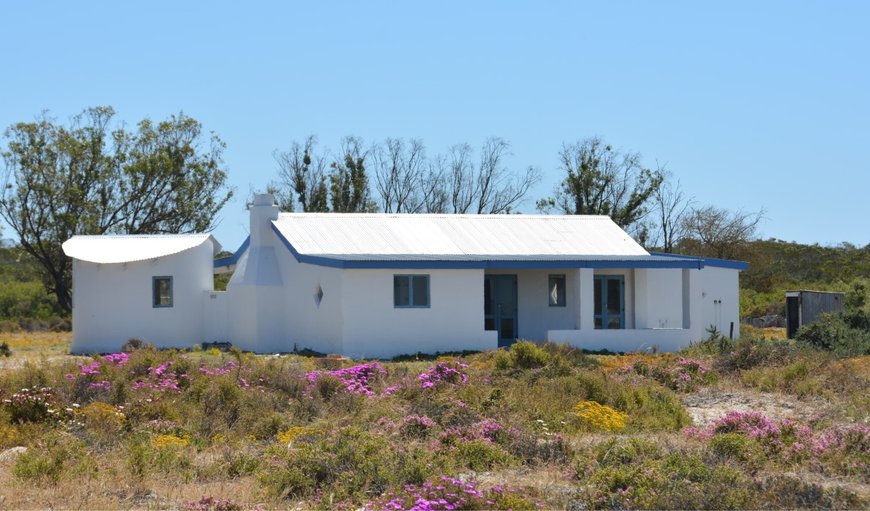 Skilpadkos: Welcome to Wamakersvlei Beach Farm