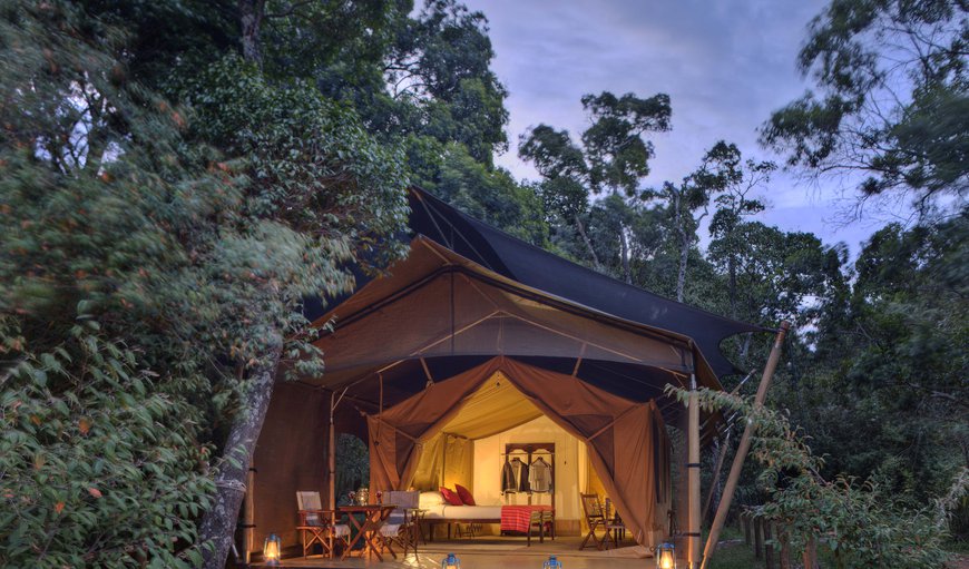 Safari Tents photo 4