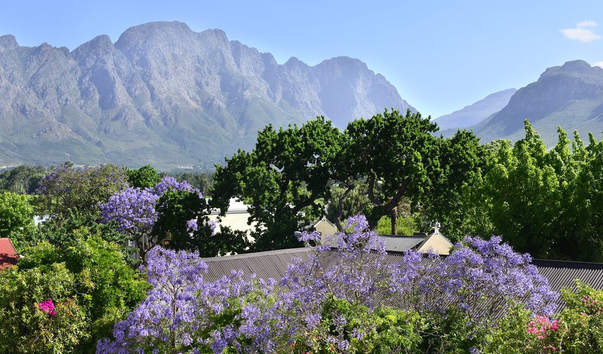 Wake up to the picturesque views of the Franschhoek valley supported by the cornflower blue sky, right from the window of this sultry space. Wake up to the picturesque views of the Franschhoek valley supported by the cornflower blue sky, right from the window of this sultry space.