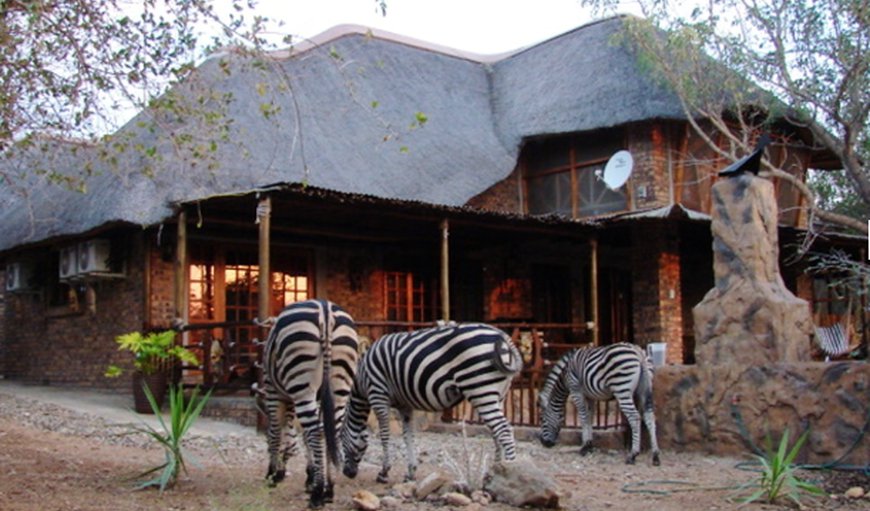 Welcome to Khaya Umdani @ Marloth Kruger in Marloth Park, Mpumalanga, South Africa