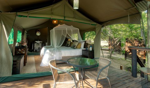 R1 - Sickle Bush Safari Tent photo 71