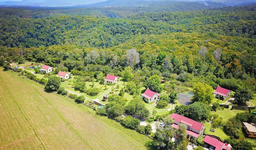 Welcome to Forest Edge Nature Lovers' Retreat in Rheenendal, Knysna, Western Cape, South Africa