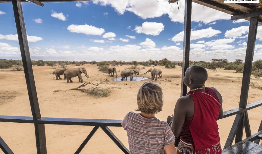 Observation platform overlooking a waterhole by the camp, where elephants and other animals often come to drink. Observation platform overlooking a waterhole by the camp, where elephants and other animals often come to drink.