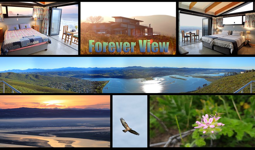 Forever View - Whole unit photo 2