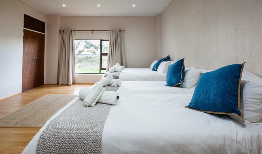 Witfontein Game Lodge Room 1: Witfontein Room 1 Sleeps 4 Guests
