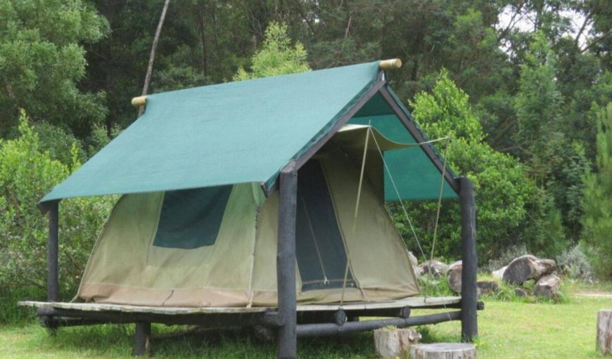 Tented Camp Domes