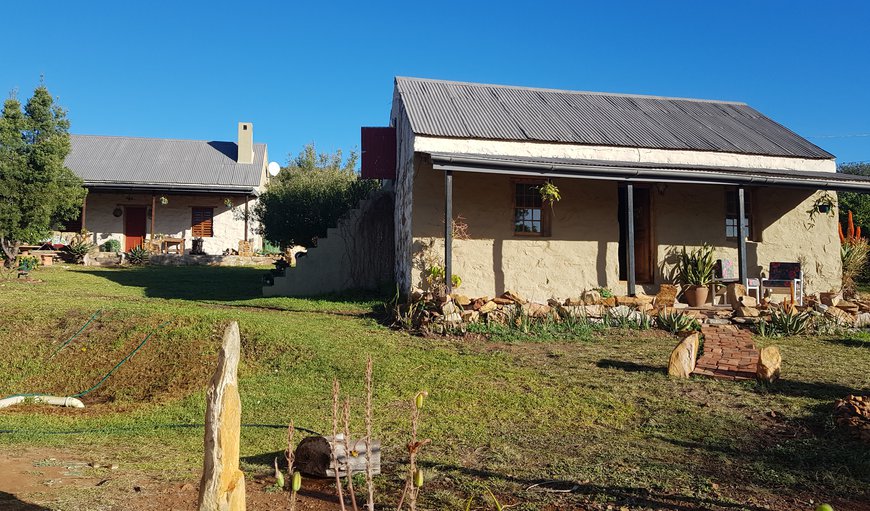 Old Cape Farm Homestead-Duck and Do Little Exterior