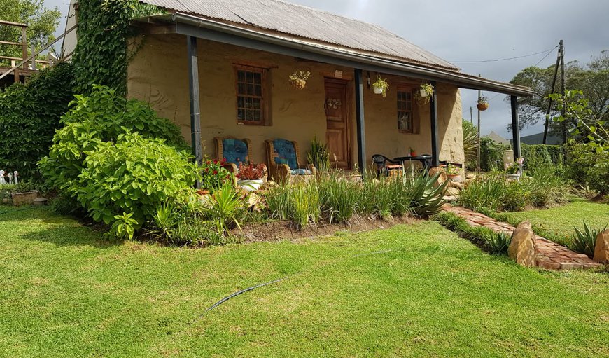 Welcome to Old Cape Farm Homestead-Duck and Do Little in Joubertina, Eastern Cape, South Africa