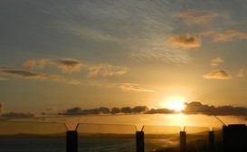 Pearl White Sands image