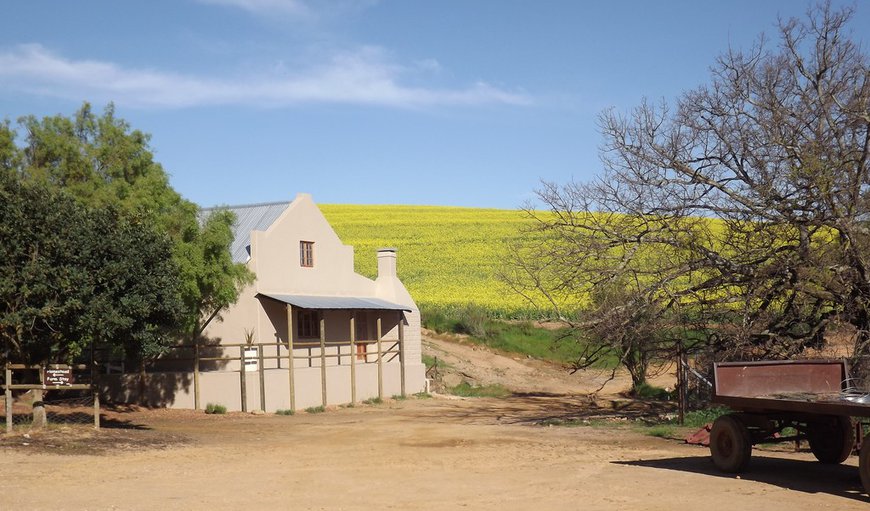 Welcome to Dassenheuwel Self Catering Farm Stay in Malmesbury, Western Cape, South Africa
