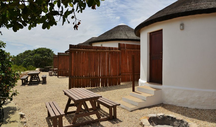 Outside in De Hoop Nature Reserve, Western Cape, South Africa