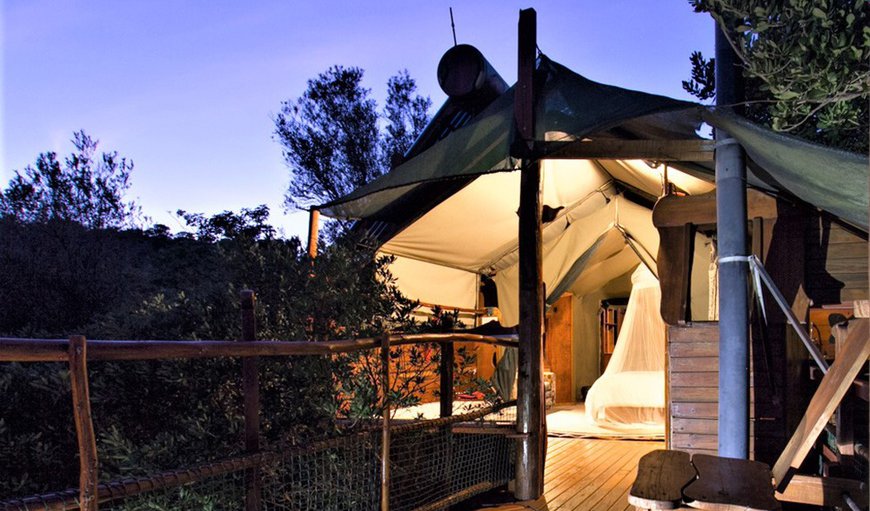 Couples Treetop Suite: Deck area