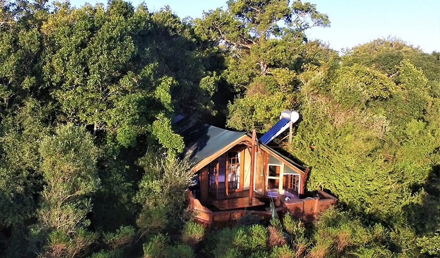Deluxe Couples Treetop Suite: Suite view and exterior