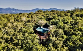 Teniqua Treetops Forest Lodge Accommodation image