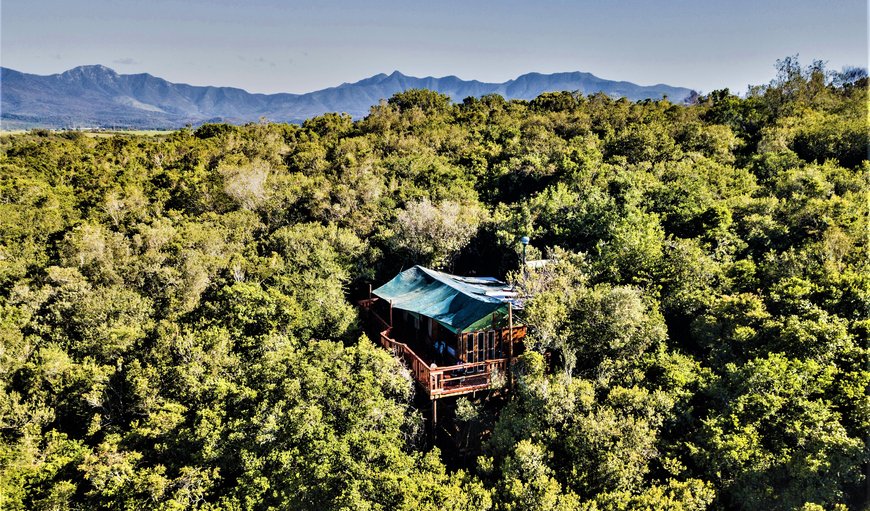 The Eyrie in Sedgefield, Western Cape, South Africa